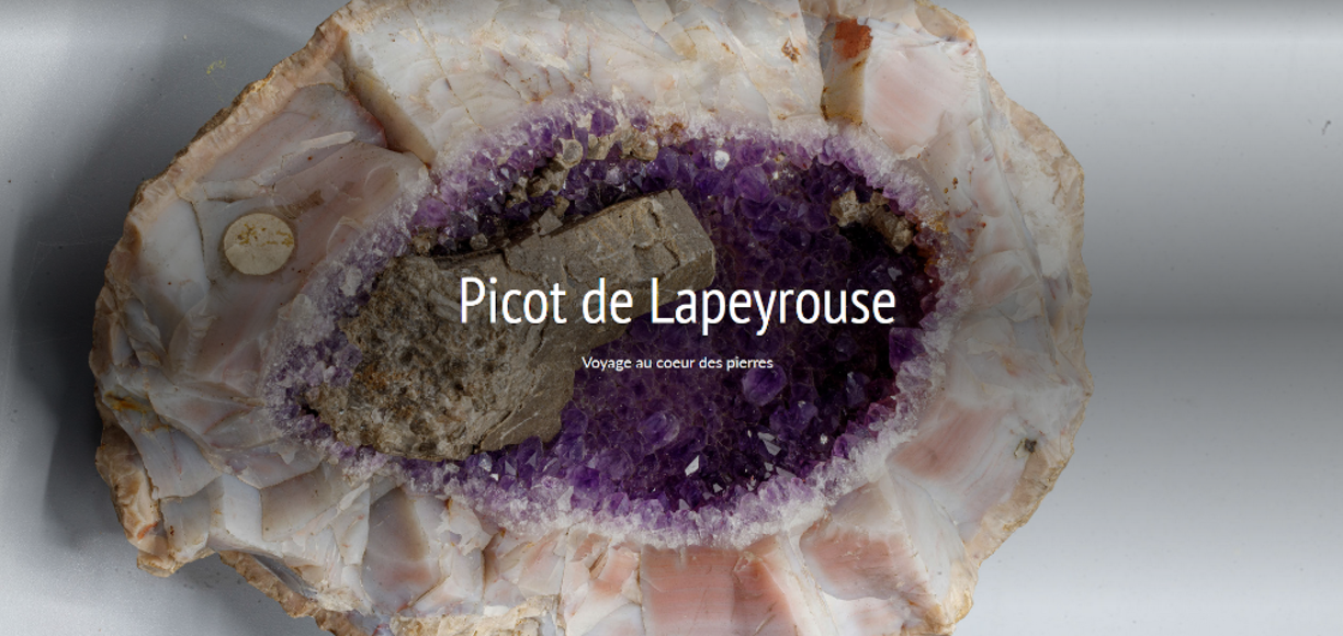 154314picot-de-lapeyrouse_1000.png